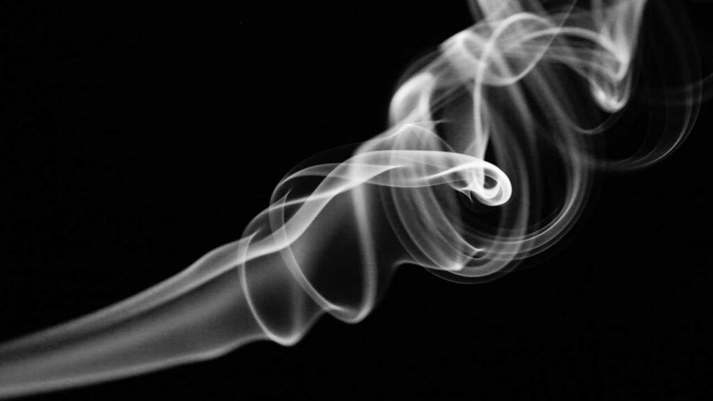 Lorem ipsum dolor sit amet, consectetur efficitur.